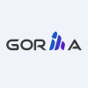 Gorilla Technology Group Inc. Warrant Share Price